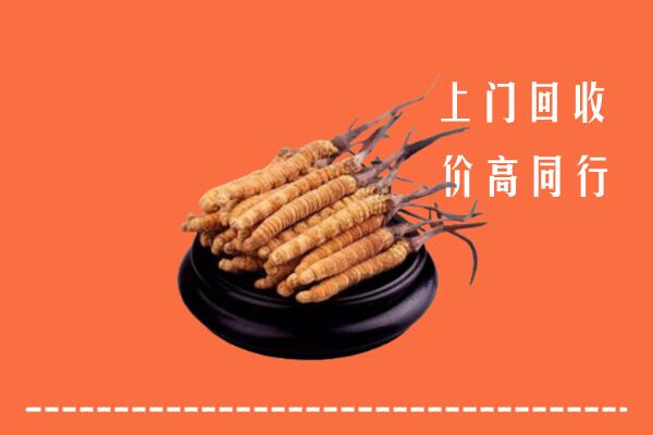 庆阳市回收散虫草