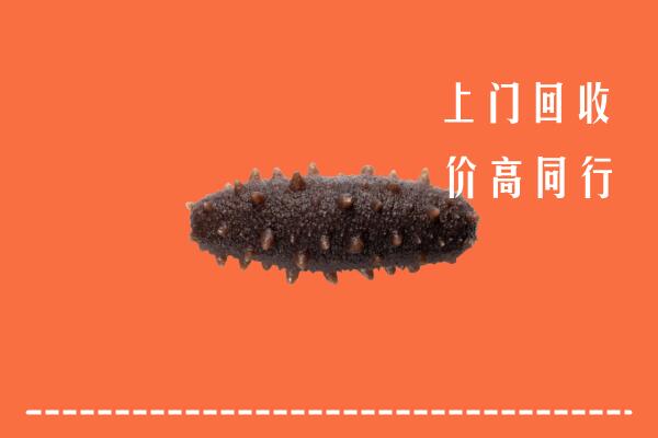 庆阳市回收海参